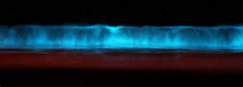 Bioluminescence Causes Of Color