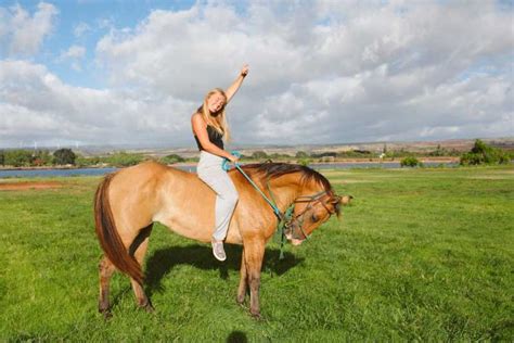 Oahu North Shore Oceanfront Horseback Riding Tour Getyourguide