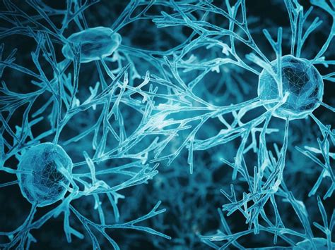 How Uncontrolled Inflammation Leads To Brain Cell Loss
