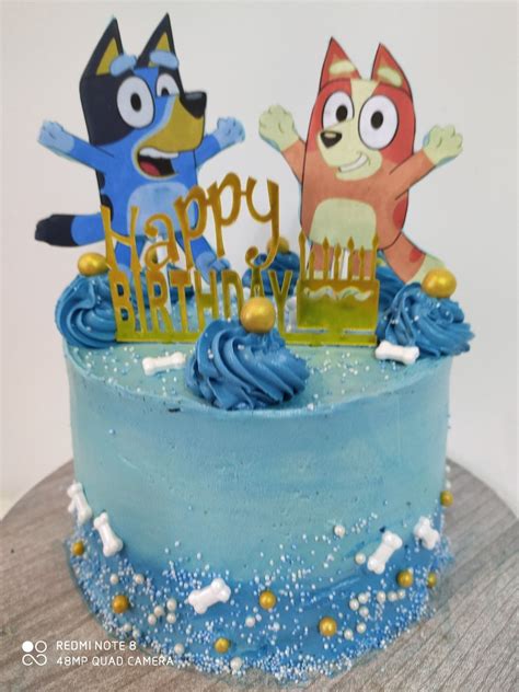 Bluey And Bingo Birthday Cake Ideas