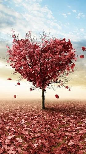 Download Free Android Wallpaper Autumn Love 4309