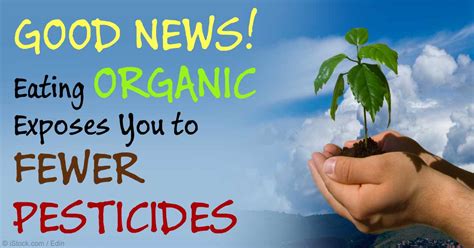 Eating Organic Food Exposes You To Fewer Pesticides