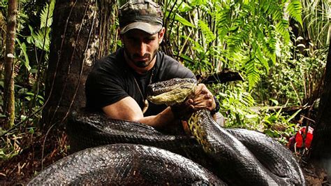 Anaconda Se Traga A Un Hombre En Pruebas Video Telemundo