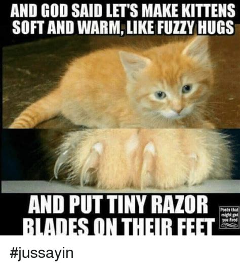 And God Said Lets Make Kittens Soft And Warm Like Fuzzy Hugs And Put