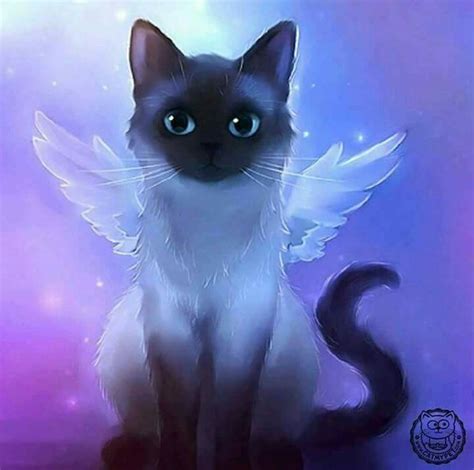 Image Chat Angel Cat Angel Wings Cat Artwork Anime Animals Cat