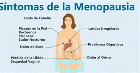 Toda mujer debería saber cuánto tiempo dura la menopausia y cuáles son