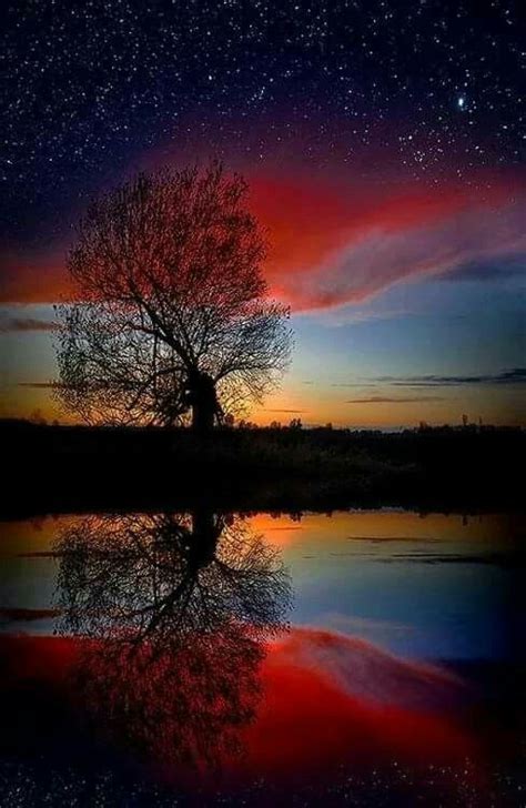 Starry Red Blue And Orange Night Sky With Winter Tree Beautiful