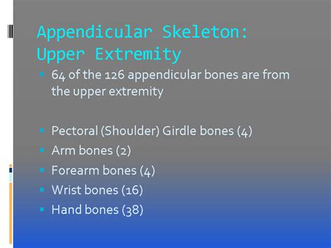 Overview Upper Extremity