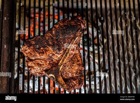 Grilling Big T Bone Steak On Natural Charcoal Barbecue Grill Preparing