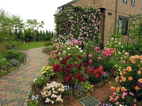 Beautiful Rose Garden Designs For Small Yard You Need To See Rose