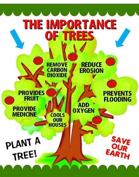 Importance Of Plants In Our Life Kidpid