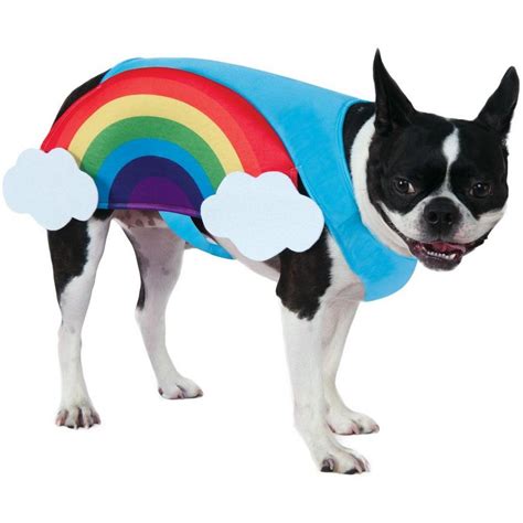 Rainbow Dog Cape Ubicaciondepersonascdmxgobmx