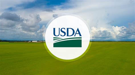 Usda Gives Producers More Time To Repay Marketing Assistance Loans