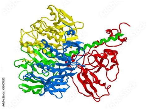 Molecular Structure Of Cholera Toxin Stock Illustration Adobe Stock