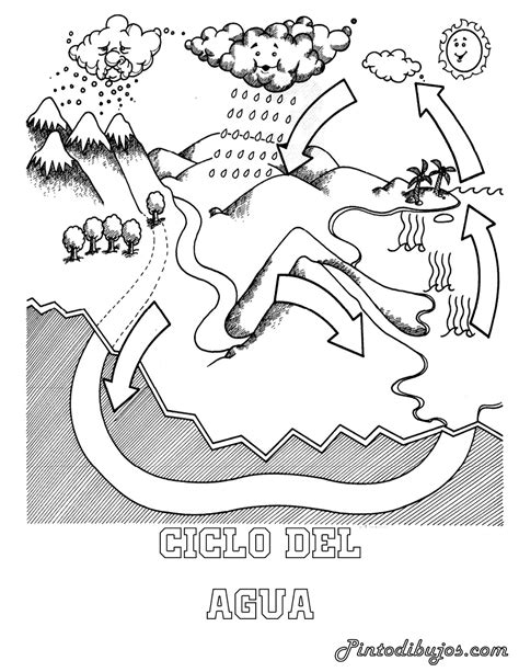15 Dibujos Del Ciclo Del Agua Para Colorear Gratis Dibujo Kulturaupice