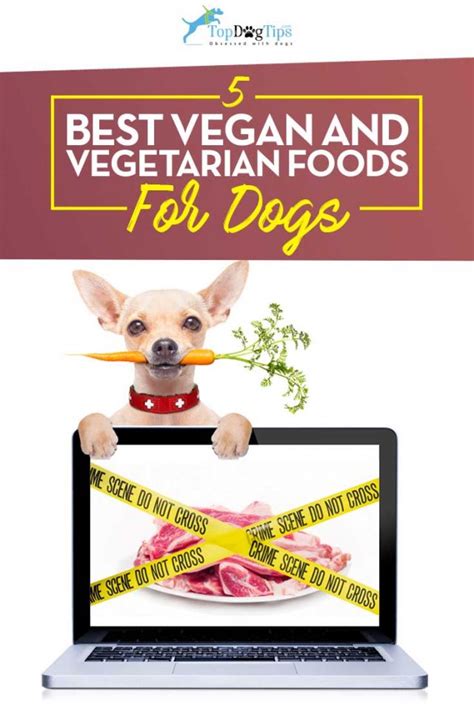 Top 5 Best Vegan Dog Food And Best Vegetarian Dog Food In 2017