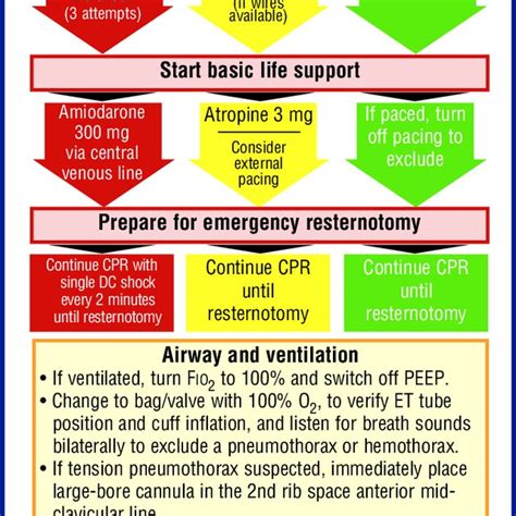 Pdf Standards For Resuscitation After Cardiac Surgery
