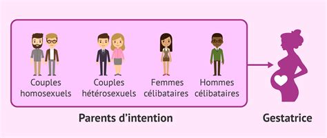 Information and translations of gestation in the most comprehensive dictionary definitions resource on the web. La gestation pour autrui comme une technique de PMA