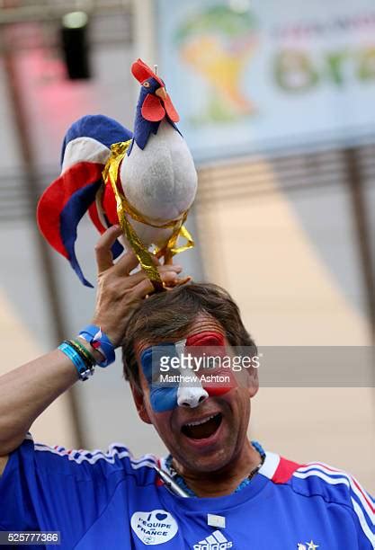 National Bird Of France Photos And Premium High Res Pictures Getty Images