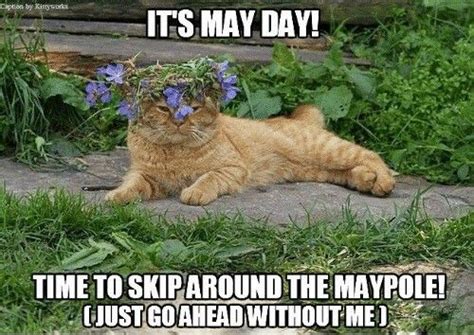 May Day Maypole In 2020 May Days Memes Funny