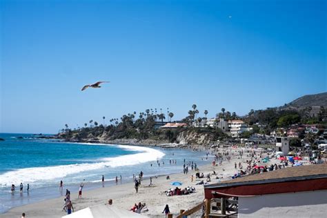 Ocean View Bar And Grill Laguna Beach Perfect Moment Picture Perfect