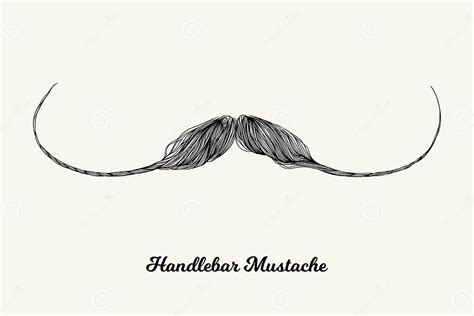 Handlebar Mustache Stock Vector Illustration Of Design 245692762