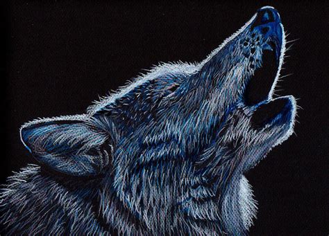 Howling Wolf Drawing By Jay Johnston Fine Art America
