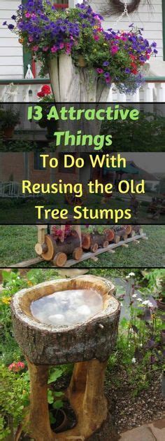 13 Attractive Things To Do With Reusing The Old Tree Stumps Tree