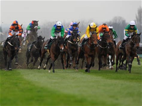 Choosing the number of lines in your placepot. Aintree Placepot: Saturday April 9th : Daily Tipping ...