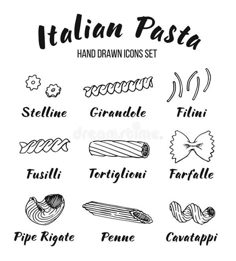 Italian Pasta Shapes And Names Set Stock Vector Illustration Of