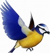Bird Silhouette Clip art - Bird PNG png download - 1965*2073 - Free ...
