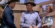 Bronco Buster · Film 1952 · Trailer · Kritik