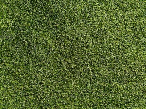 Grass Lawn Texture Picture Free Photograph Photos Public Domain