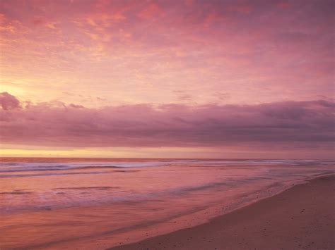 Beautiful Sunset Pink Beach Wallpaper Hd Photos