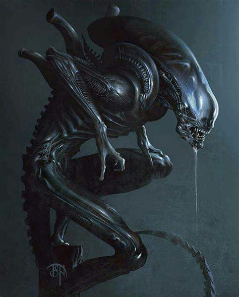 Alien Xenomorph By Benny Kusnoto Alien Vs Predator Predator Artwork Alien Artwork Book