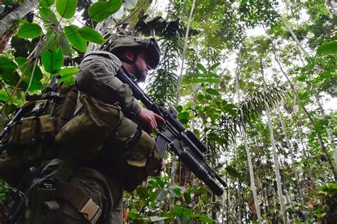 With New Peace Colombia Finds Hope For Saving Its Wild Lands Yale E360