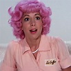 Didi Conn as Frenchy, Grease (1978) | Grease movie, Pink hair, Pink ladies