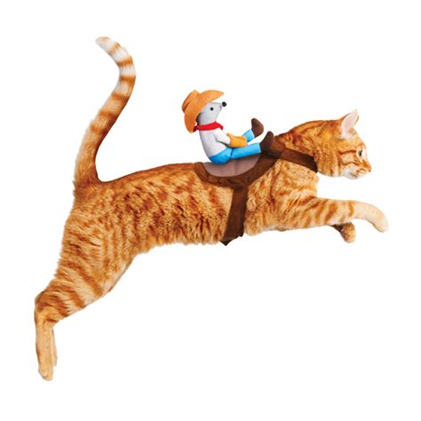 Kitty Up Cowboy Cat Costume