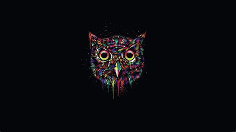 Find black screen wallpapers hd for desktop computer. HD wallpaper: Colorful owl, creative design, black ...