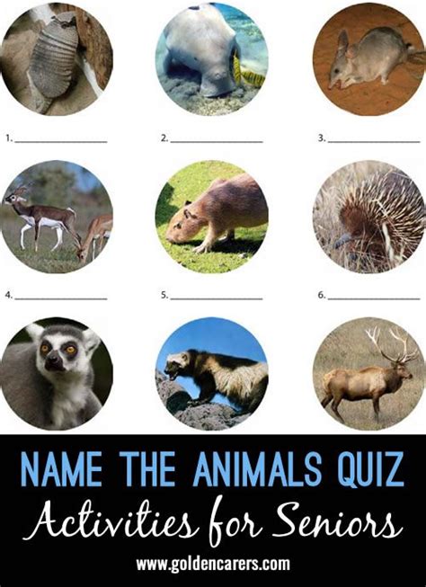 Name The Animals Quiz Animal Quiz Activities Animals