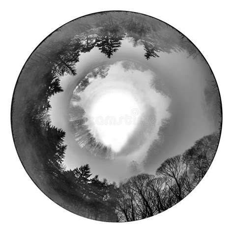 The Circle From Nature Stock Illustration Illustration Of Evening