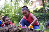 Free picture: two, African American, children