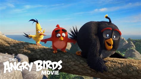 Find funny video clips and other reaction clips to use them like a gif with sound. The Angry Birds Movie UHD and 3D Blu-ray Review • Home ...