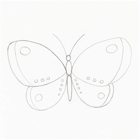 How To Draw A Butterfly How To