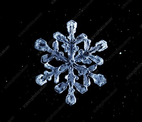 Macrophoto Of A Snow Crystal Stock Image E1270176 Science Photo
