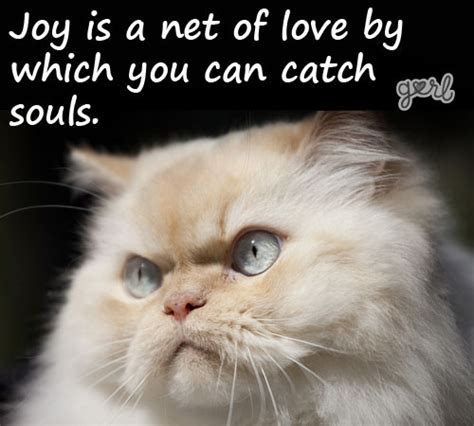 Inspirational Cat Quotes Quotesgram