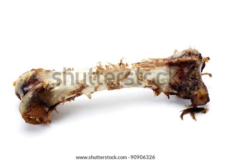 Bone Turkey Leg On White Background Stock Photo Edit Now 90906326