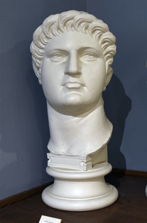 Nero · Wilcox Classical Museum