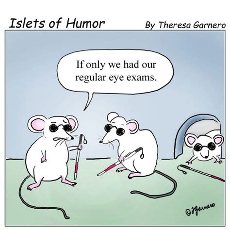 Three Blind Mice Optometry Humor Eye Jokes Work Humor