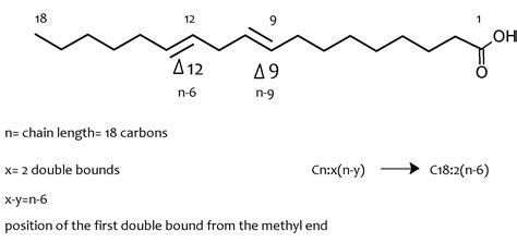 In principle, fatty acids can be produced from any oil or fat by hydrolytic or lipolytic splitting (reaction with water for example, while tall oil contains significant quantities of c18=1, c18=2 and higher unsaturates, it also contains sulphur. Region Specific Vulnerability to Lipid Peroxidation in the ...